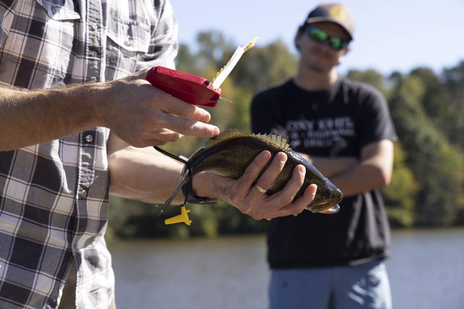 Study the ecology and health of waterways—whether that's a pond, lake, river, or ocean. With Georgia's variety of habitat and aquatic life, students learn from a variety of experiences and ecosystems.