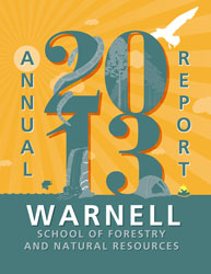 cover of 2013 annual report