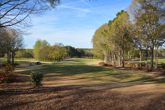 A view of a hole at the golf course