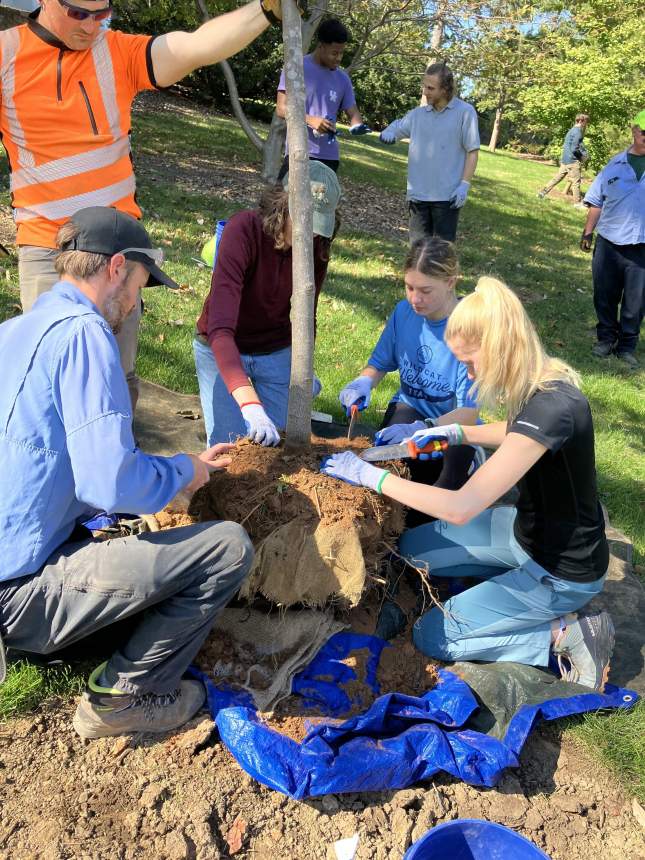 Students plant a tree
