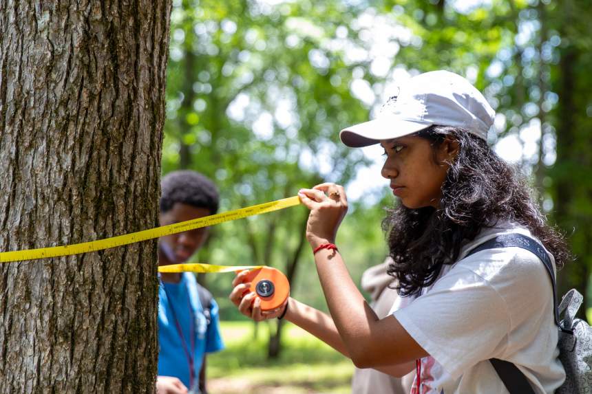 Student measures tree with DBH tape