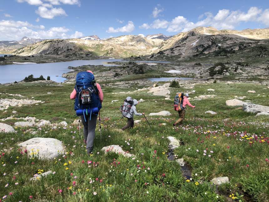 Hikers walk across a meadow with rocks and flowers.