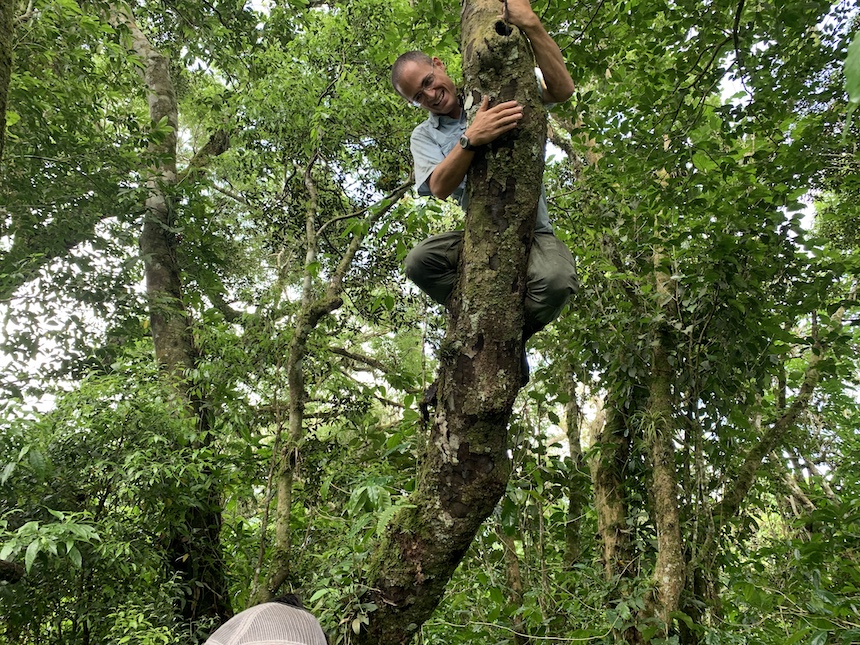 Adam Clause climbs a tree