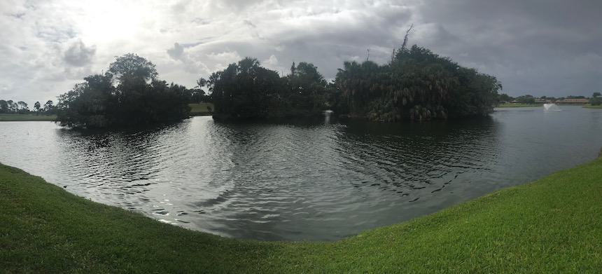 A panorama of the islands and urban rookery where the students work.