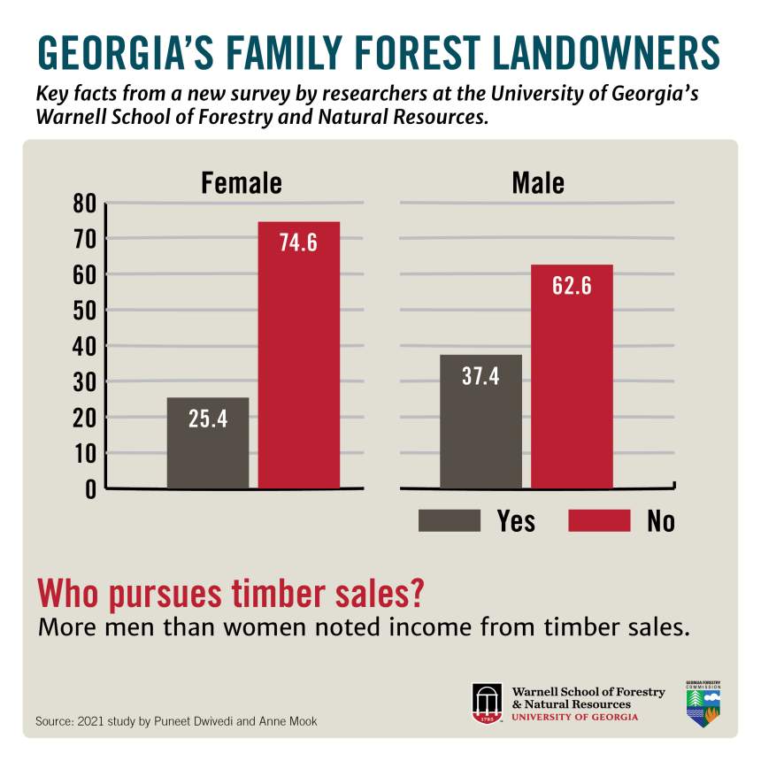 Who pursues timber sales?