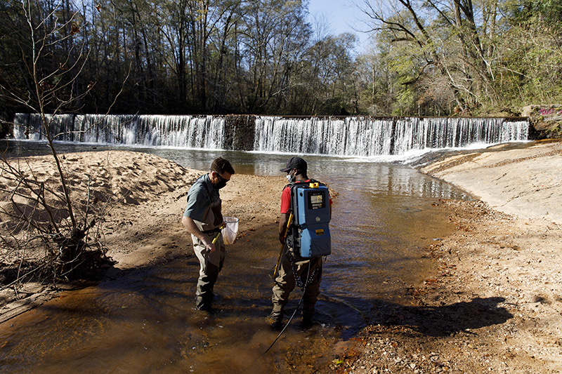 Wesley Gerrin and graduate student Kieran Merritt search for weather loaches at McNutt Creek in 2020.