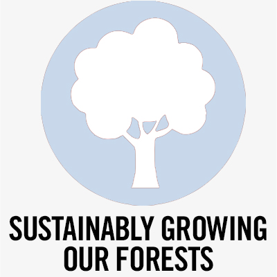 icon for forestry