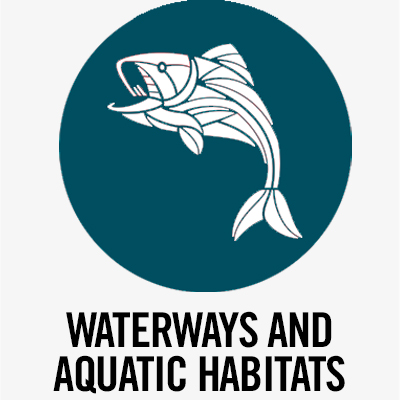 icon for aquatic sciences