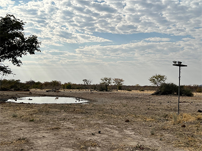 Namibia waterhole