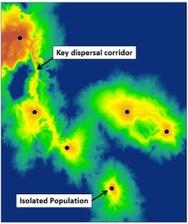 A heat map showing population dispersals