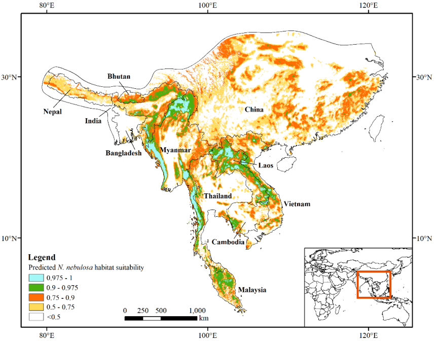 Multi-scale habitat suitability model for clouded leopard (Neofelis nebulosa) throughout Southeast Asia.