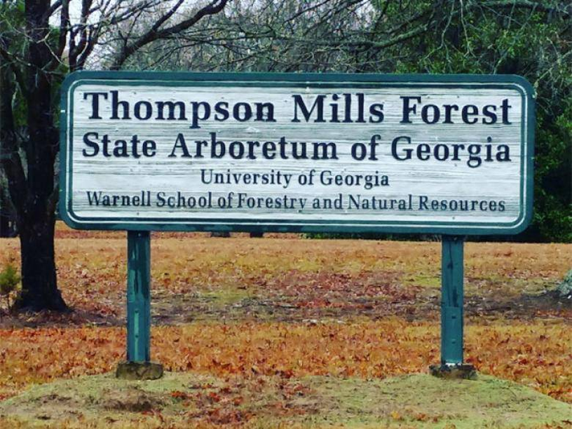 Thompson Mills sign