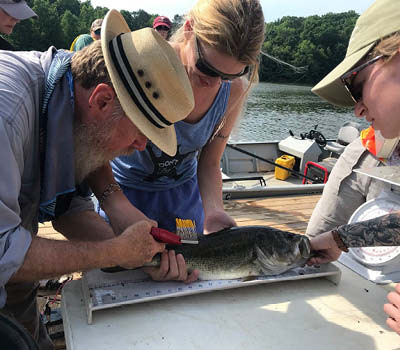 Students help tag fish