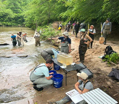 Students sampling in stream