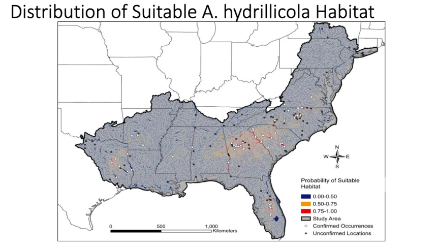 Distribution map of suitable A. hydrillicola habitat