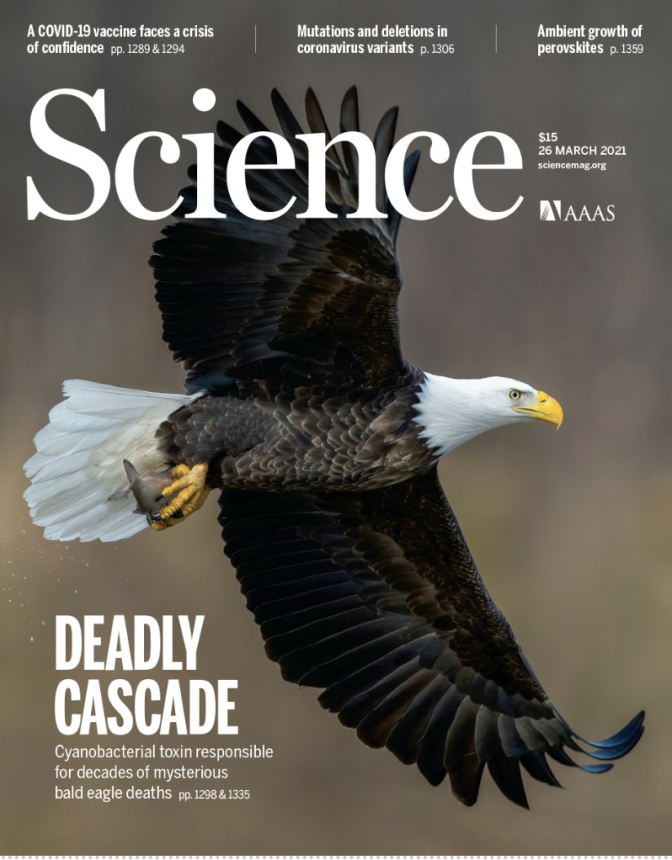 The cover of Science magazine