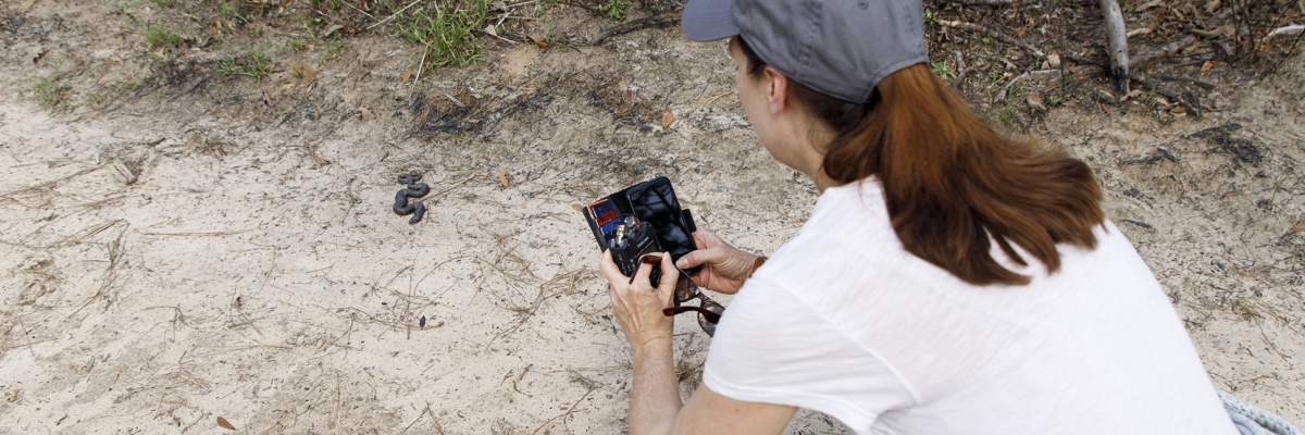 Kristen Morales takes a photos of a snake on a dirt road