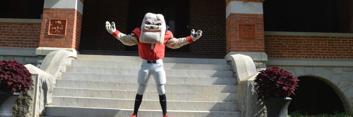 Hairy Dawg on Whitehall mansion steps