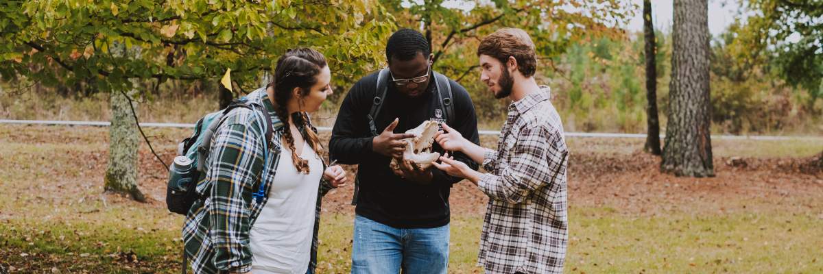 Three students look at an animal skull