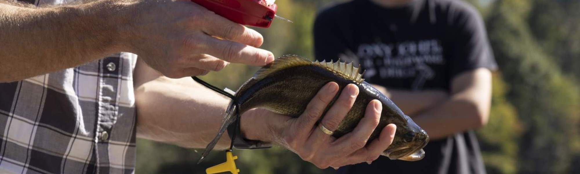 Study the ecology and health of waterways—whether that's a pond, lake, river, or ocean. With Georgia's variety of habitat and aquatic life, students learn from a variety of experiences and ecosystems.