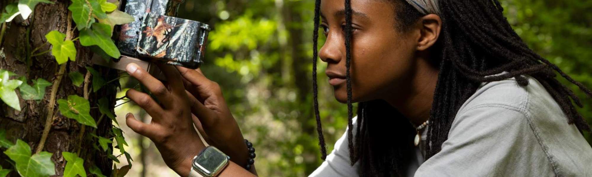 Research topics in the wildlife sciences area focus on the biological, ecological, and managerial aspects of wildlife populations.