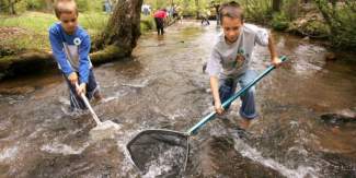 Children search for fish in a stream