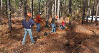 Researchers conduct a soil test i a pine stand
