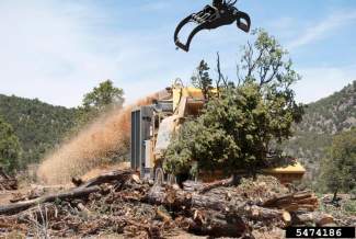 A chipper picks up a load of wood