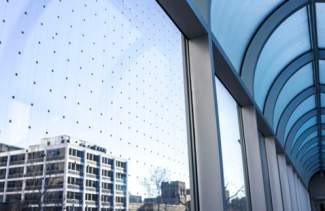 Image of Lights, Windows, Action! Birds in the Built Environment and the Threats They Face