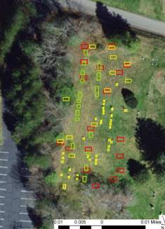 Unmarked graves are mapped on an overhead photo of the cemetery