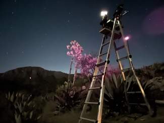 A nighttime image of a photographer lighting an agave plant