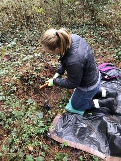 Graduate student Summer Fink prepares a humane trap in a wooded area of metro Atlanta.