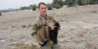 James Beasley holds a raccoon dog in the Chernobyl nuclear exclusion zone.