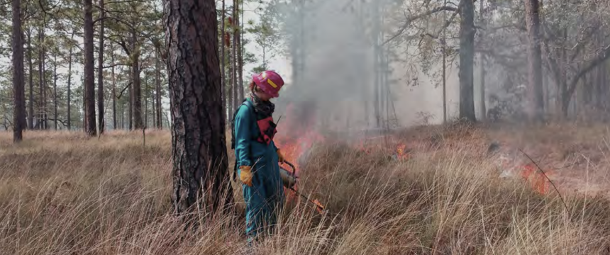 A firefighter walking in the woods