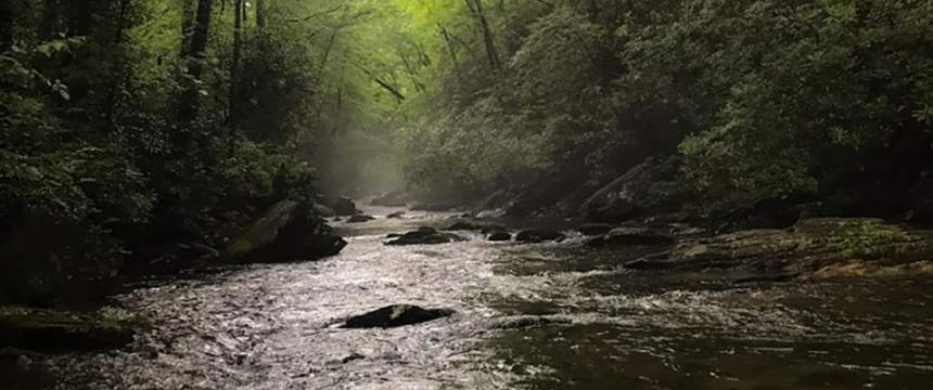 An image of the upper Chattahoochee River