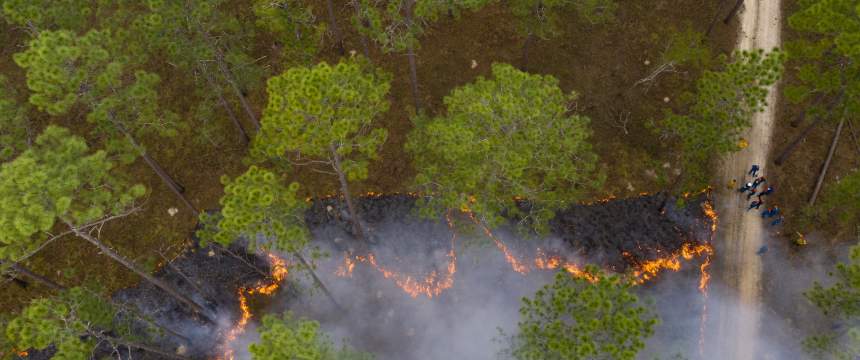 An overhead view of a prescribed burn