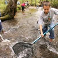 Children search for fish in a stream