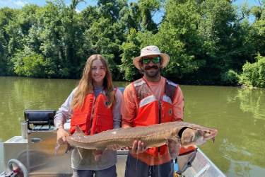 Graduate students Matt Phillips and Savannah Perry hold an adult lake sturgeon they collected in the Coosa River