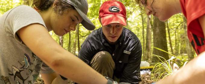 James Beasley works with students to sedate a feral hog.