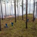 Students walk through a forest during a prescribed burn