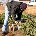 man planting 