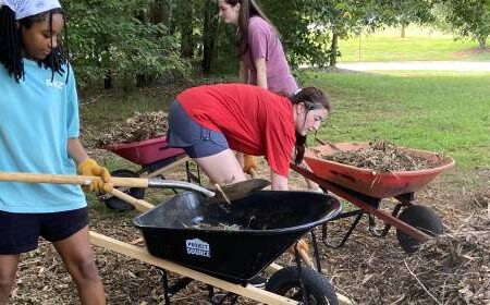 A group of people working in a garden.