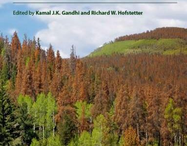 Cover of the book Bark Beetle Management, Ecology, and Climate Change, showing a forest with both healthy green and damaged brown trees.