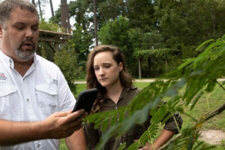 A man and a woman stand outdoors, examining information on a smartphone next to green foliage.