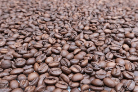 A close-up view of a large pile of roasted coffee beans spread out in an even layer.