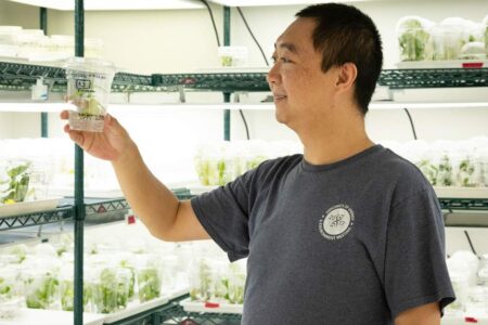 A man in a lab holds a clear container with a plant inside, surrounded by shelves of similar plant containers under bright lights.