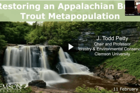 A presentation slide titled Restoring an Appalachian Brook Trout Metapopulation with a waterfall background, presenter’s name, and Clemson University details; speaker in a video call.