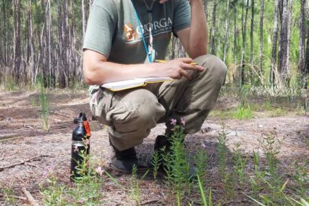 A man squatting in the woods.