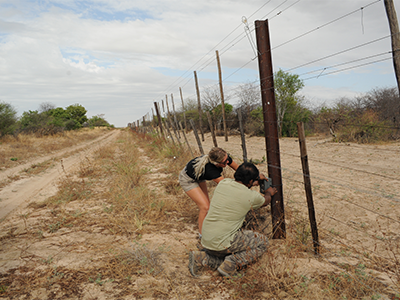 Researchers at fence