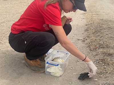 Jessy collecting dung